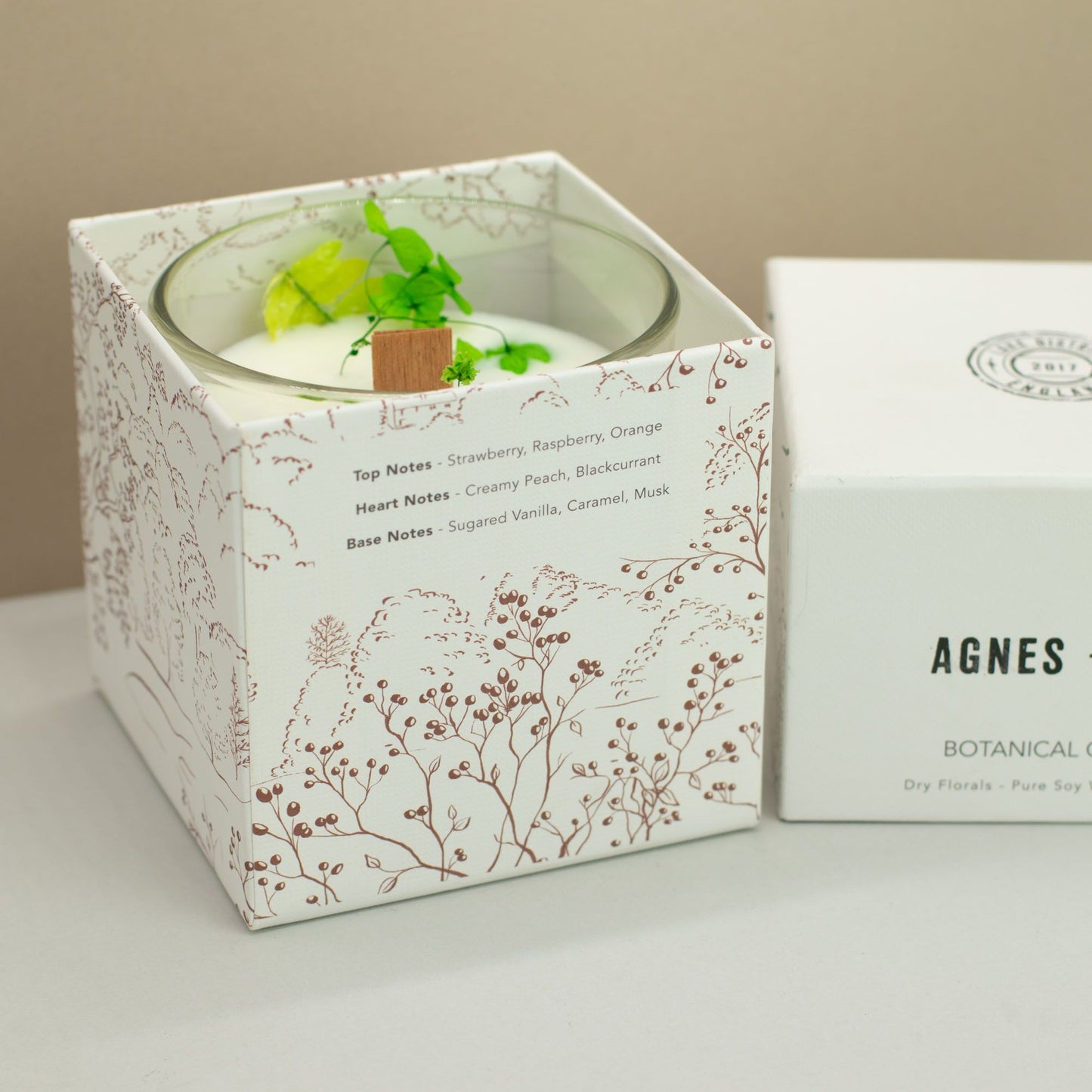Agnes + Cat Botanical Soy Wax Candle by The Bliss Co with fallberry scent, natural floral design, and eco-friendly soy wax.