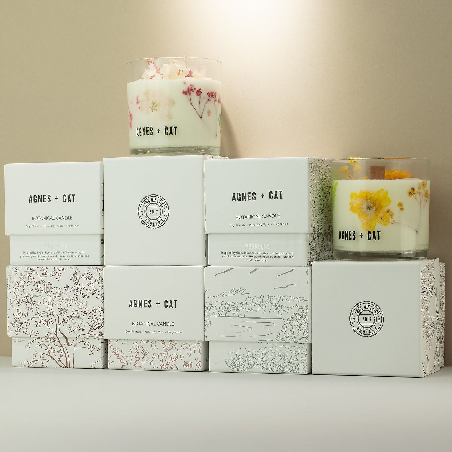 Agnes + Cat Botanical Soy Wax Candle featuring rose design by The Bliss Co, with a cozy, floral-inspired aesthetic.
